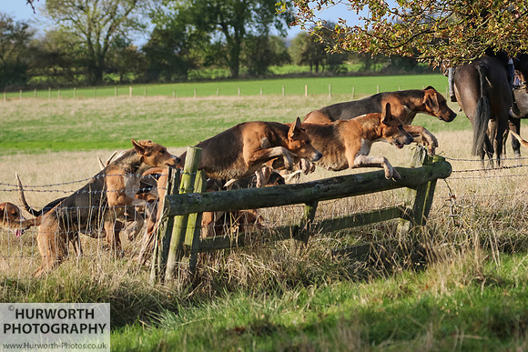 Hurworth Hunt 422