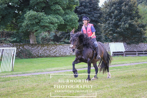 Hurworth Pleasure Ride 102