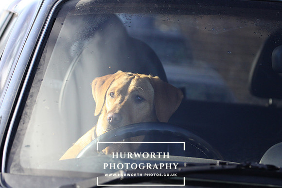 Hurworth 0125