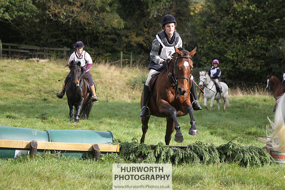 Hurworth Bilsdale Hedge Hop 052