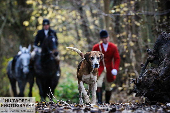 Hurworth Hunt 63