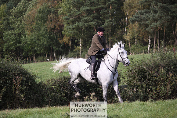 Hurworth Bilsdale Hedge Hop 593