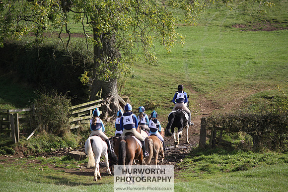 Hurworth Bilsdale Hedge Hop 347