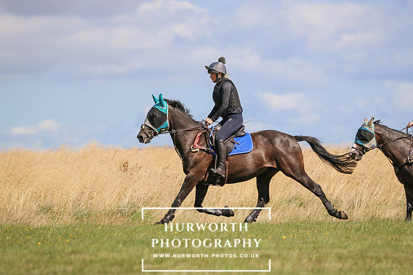 Hurworth Pleasure Ride 415