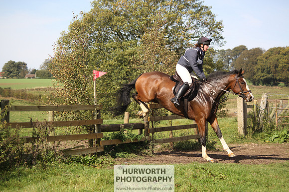 Hurworth Bilsdale Hedge Hop 236