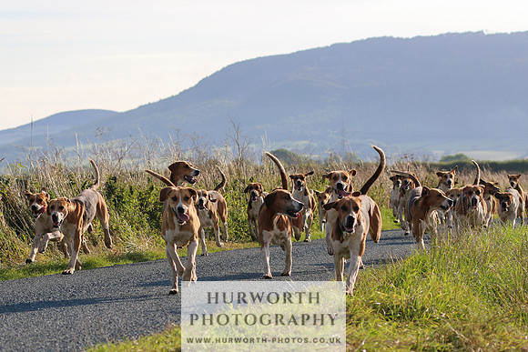 Hurworth Hunt 103
