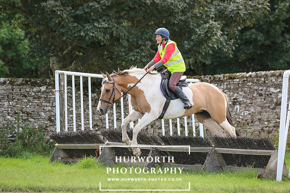 Hurworth Pleasure Ride 302