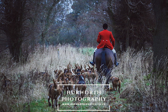 Hurworth Hunt 259