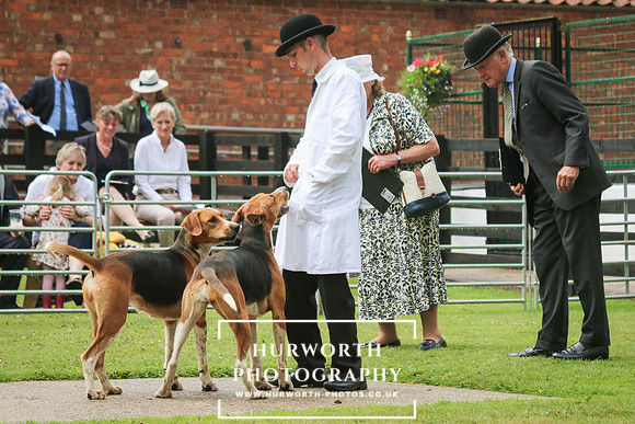 Hurworth Hunt 56