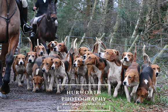 Hurworth Hunt 22