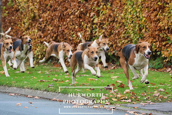 Hurworth Hunt 89