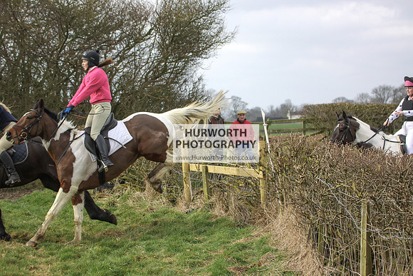 Hurworth Hunt Hedge Hop 124
