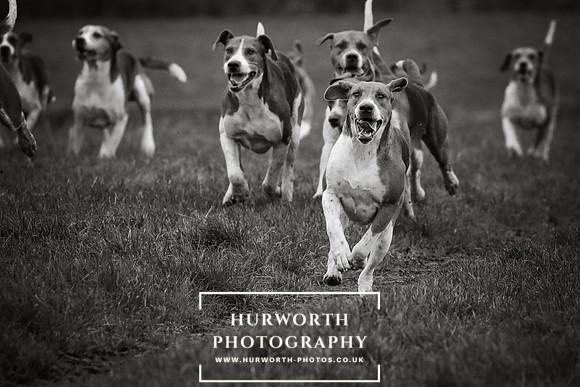 Hurworth Hunt 112