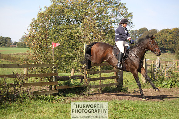 Hurworth Bilsdale Hedge Hop 238