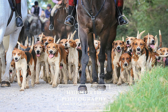Hurworth Hunt 146