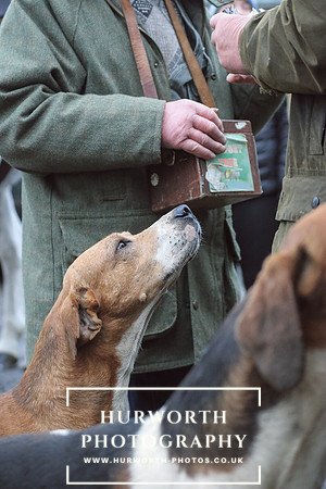 Hurworth Hunt 50