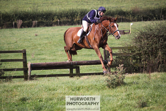 Hurworth Bilsdale Hedge Hop 167