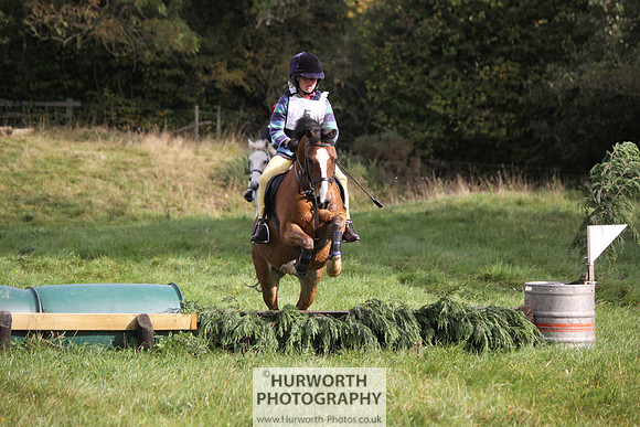 Hurworth Bilsdale Hedge Hop 056