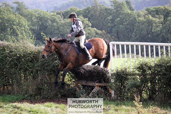 Hurworth Bilsdale Hedge Hop 576