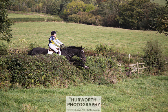 Hurworth Bilsdale Hedge Hop 677
