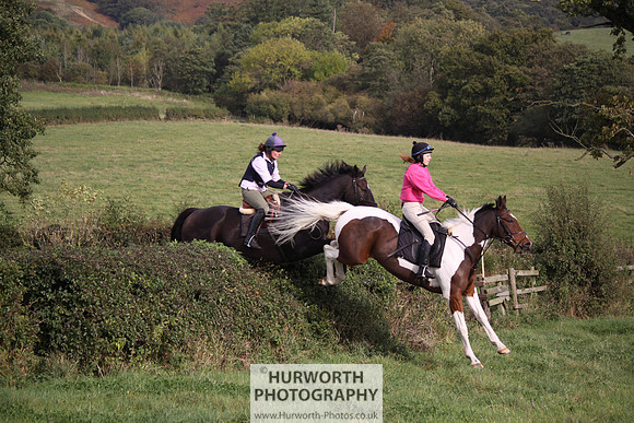 Hurworth Bilsdale Hedge Hop 672