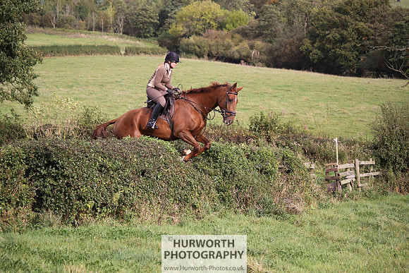 Hurworth Bilsdale Hedge Hop 681
