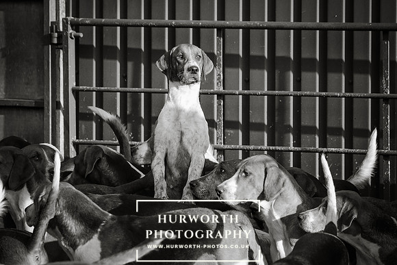 Hurworth Hunt 65