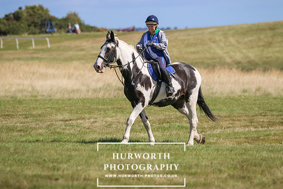 Hurworth Pleasure Ride 380