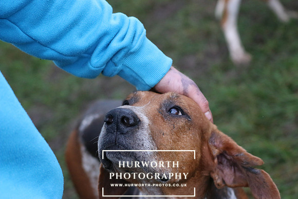Hurworth Hunt  110