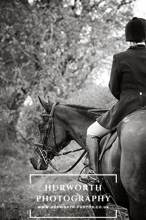 Hurworth Hunt 597
