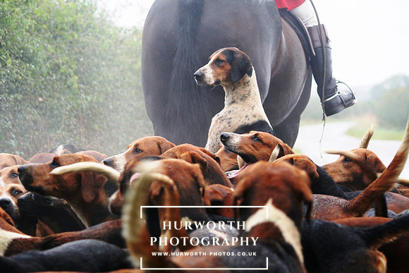 Hurworth Hunt  008