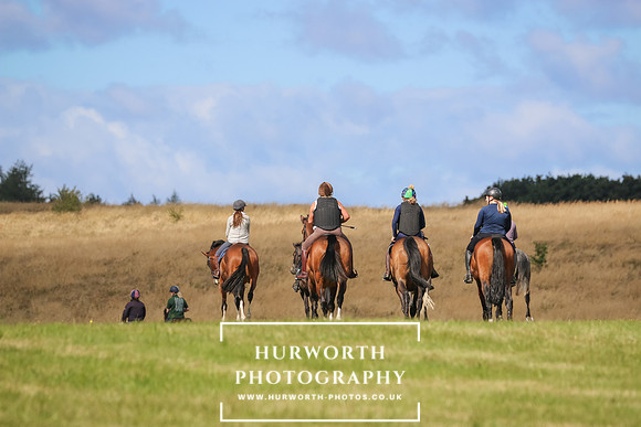Hurworth Pleasure Ride 310