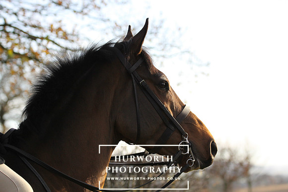 Hurworth Hunt 115