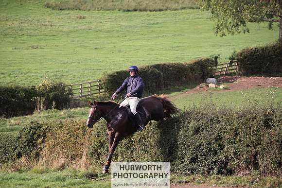 Hurworth Bilsdale Hedge Hop 819