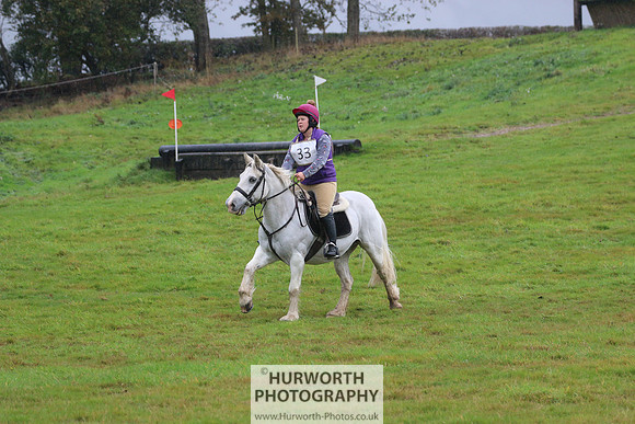 Hurworth Hunter Trial 319