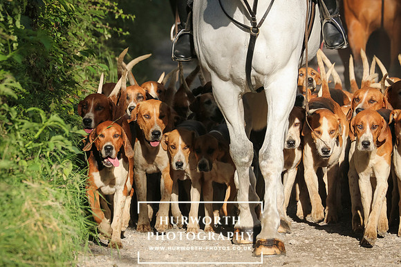 Hurworth Hunt 24
