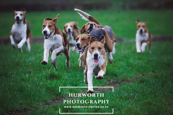 Hurworth Hunt 114
