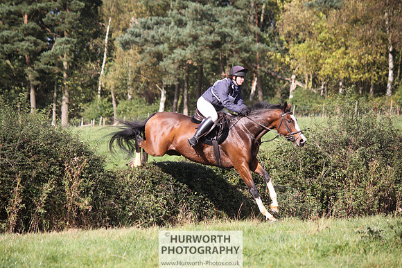 Hurworth Bilsdale Hedge Hop 219