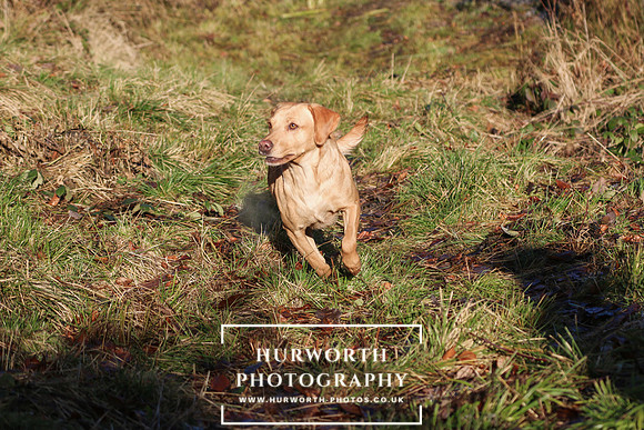 Studley Royal Ladies Shoot 139