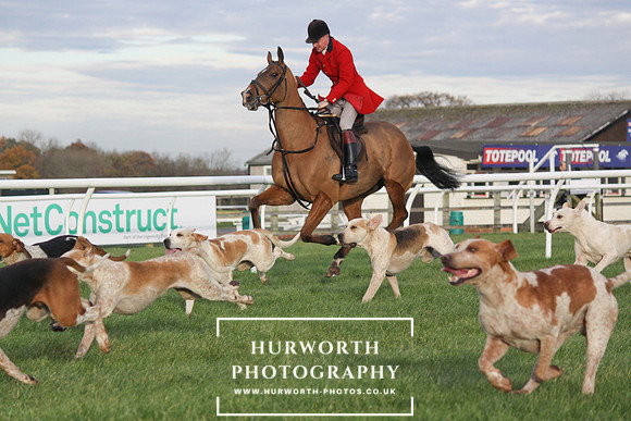 Countryside Raceday 161