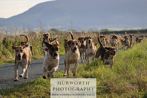 Hurworth Hunt 108