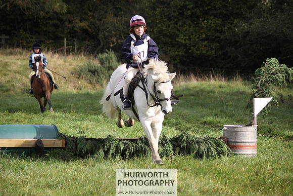 Hurworth Bilsdale Hedge Hop 055