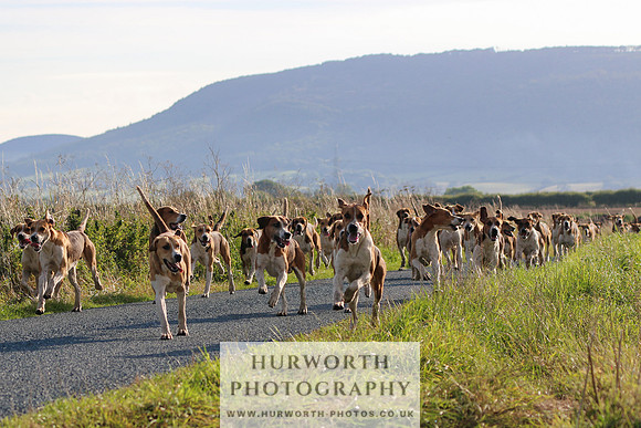 Hurworth Hunt 102