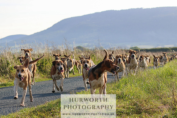 Hurworth Hunt 104