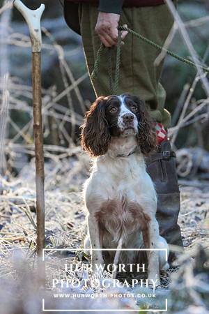 Studley Royal Ladies Shoot 051