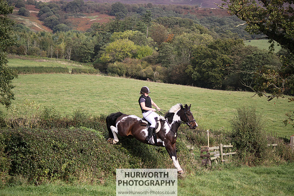 Hurworth Bilsdale Hedge Hop 675