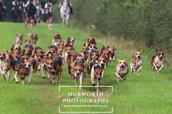 Hurworth Hunt 425