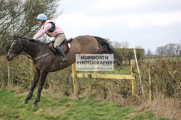 Hurworth Hunt Hedge Hop 138