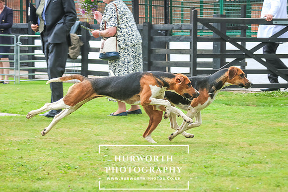 Hurworth Hunt 62