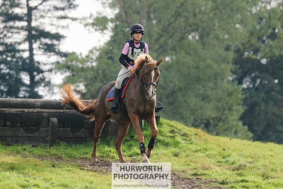 Hurworth Hunter Trial 329